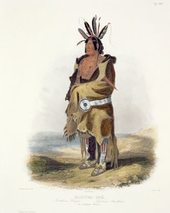 Pachtuwa-Chta, an Arrikkara Warrior, Plate 27 from Volume 1 of 